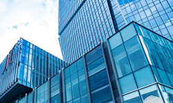 Company Development