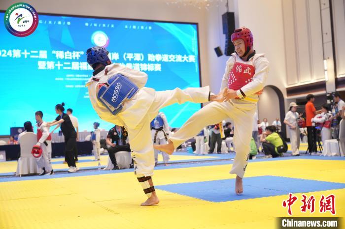 两岸同台竞技：平潭承办第十二届稀白杯跆拳道